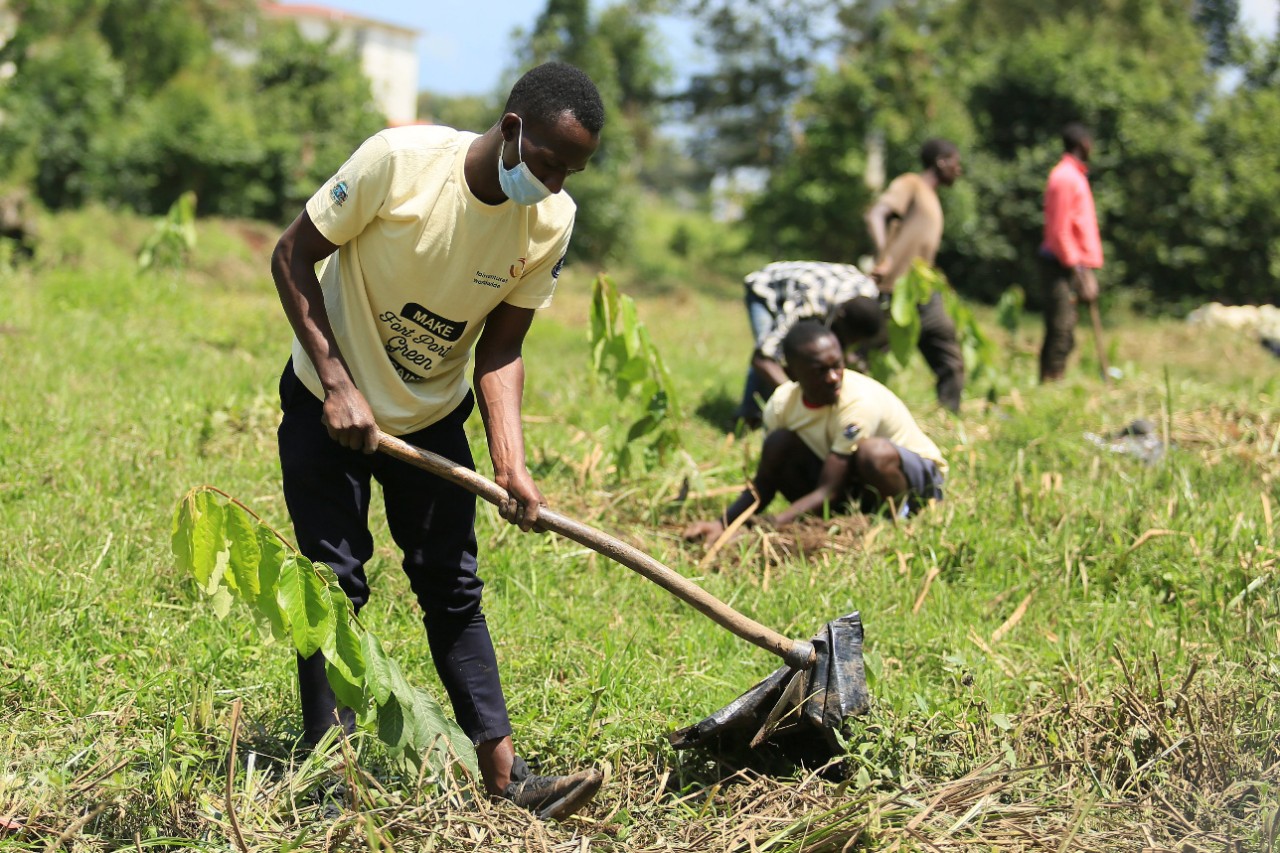 Projekt klimatyczny STIHL w Ugandzie – faza sadzenia